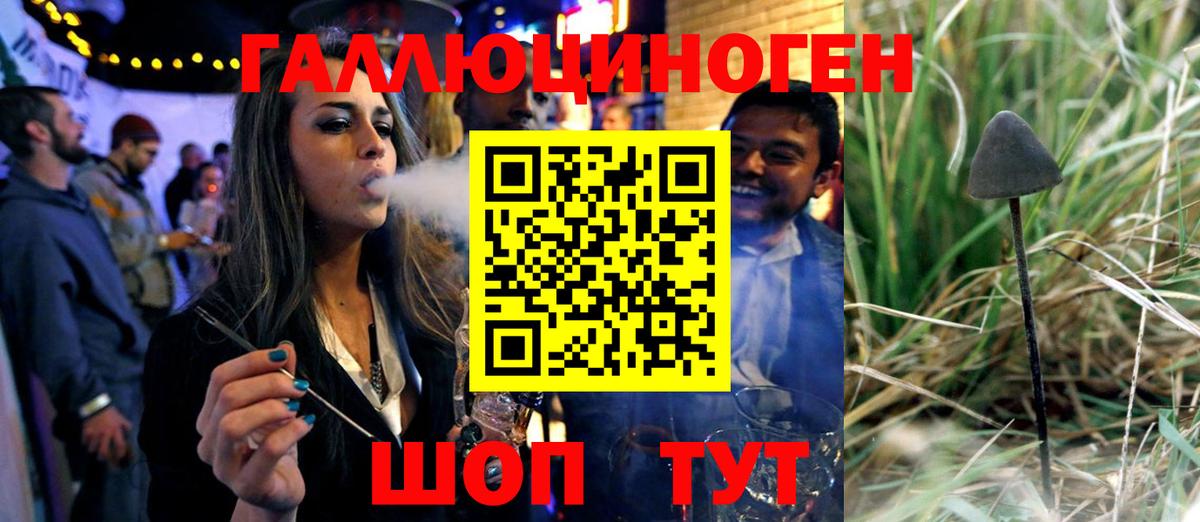 Галлюциногенные грибы MAGIC MUSHROOMS  Вход с VPN  Галлюциногенные грибы MAGIC MUSHROOMS  Елизово 